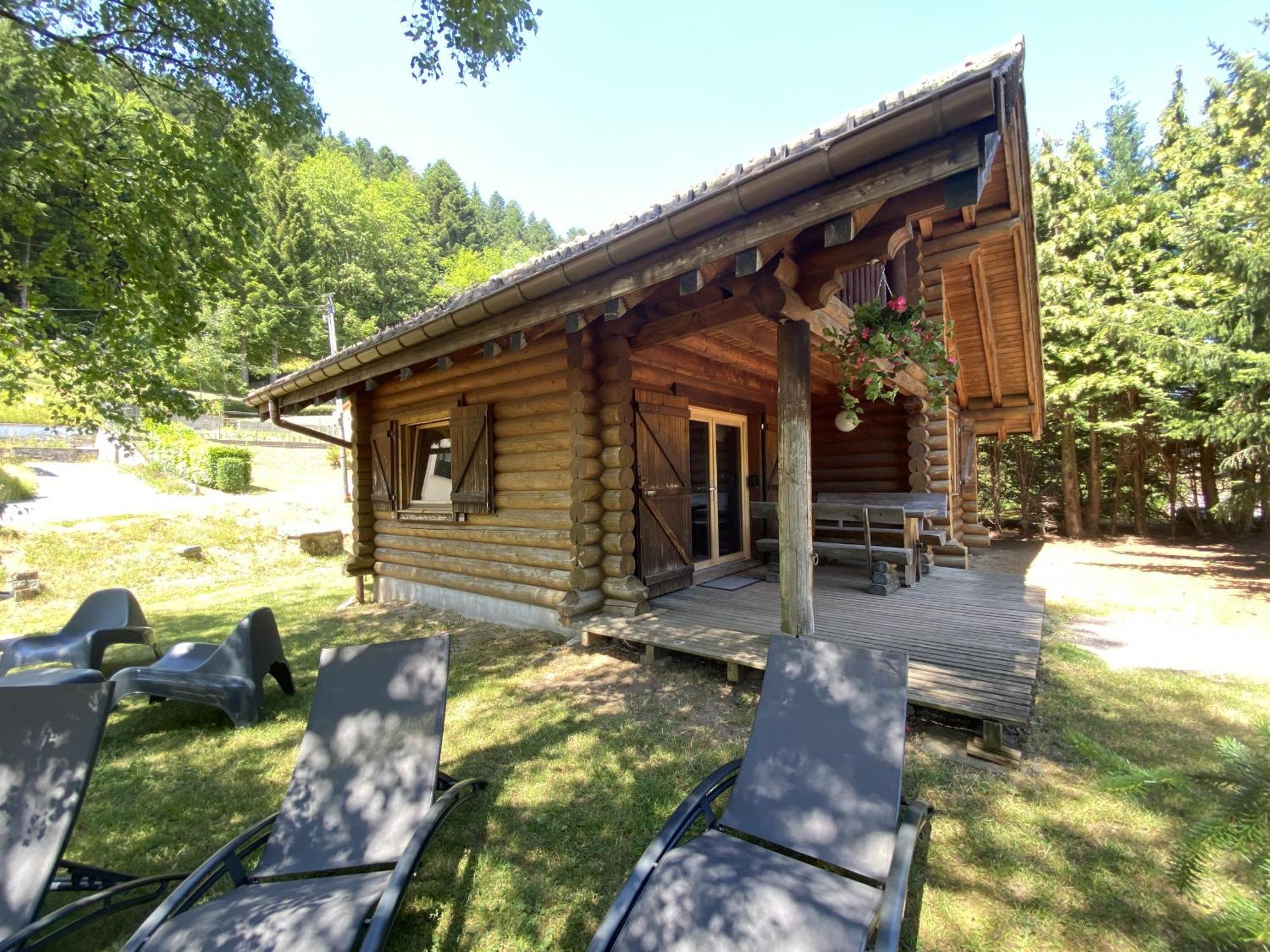 L'Oursblanc Chalet En Rondins La Bresse Dış mekan fotoğraf