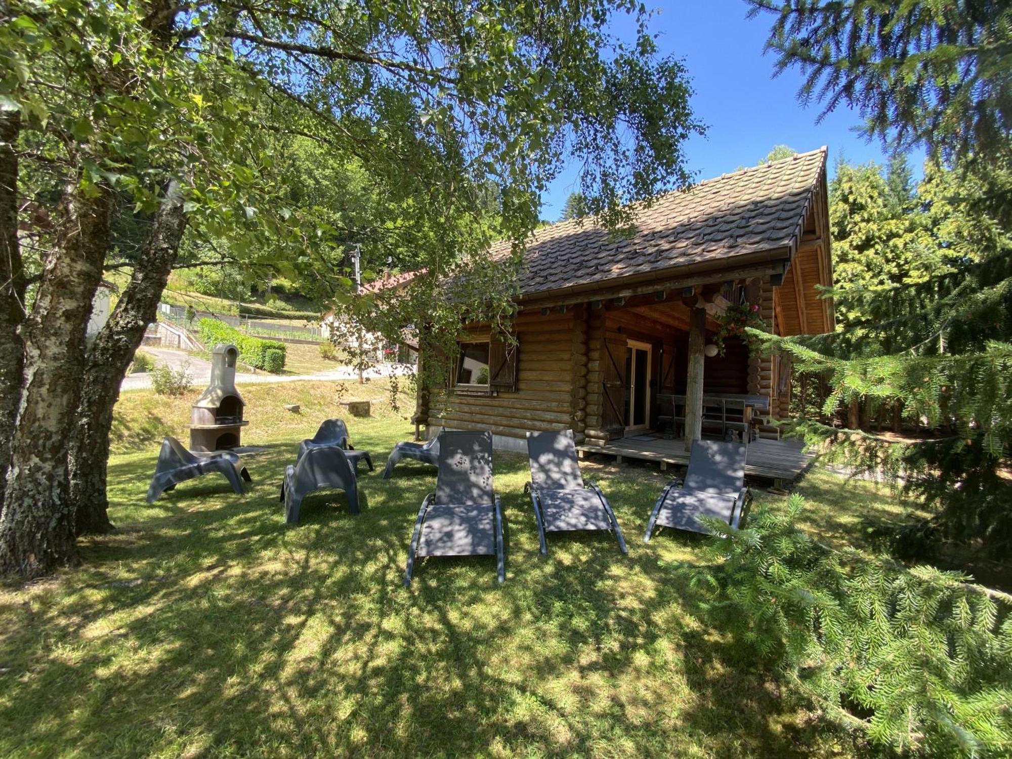 L'Oursblanc Chalet En Rondins La Bresse Dış mekan fotoğraf